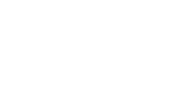 골드넷 솔루션 logo