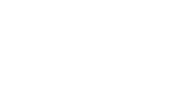 에이스 벳 logo